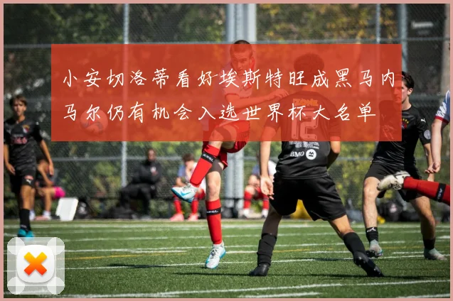 小安切洛蒂看好埃斯特旺成黑马内马尔仍有机会入选世界杯大名单